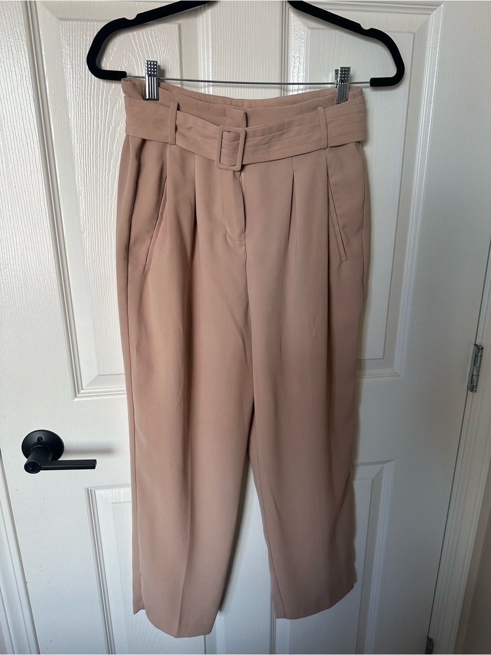 Habitual Wide-Leg High-Waist Pleated Pants in Blush Tan